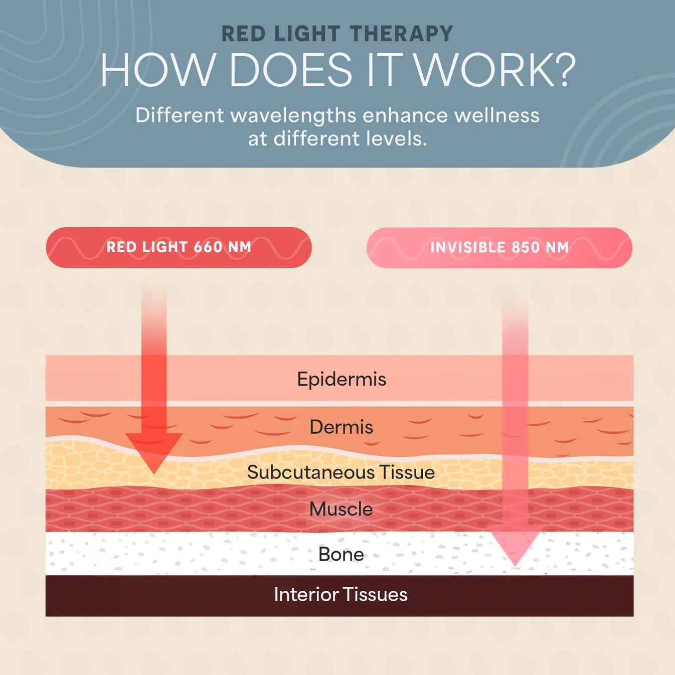 AllevaSole Pro Red Light Foot and Ankle Therapy