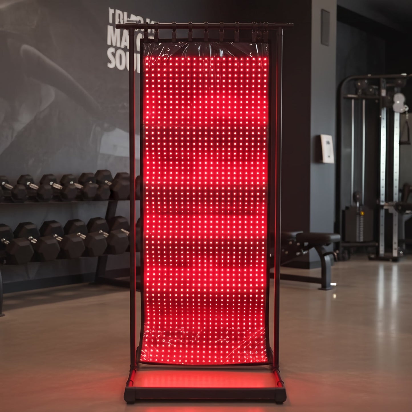 EnergyLounger Full-Body Red & Near-Infrared Light Therapy Blanket Complimentary Upgrade: Includes travel carry case.